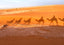 The Story of a Perfume:  AL-SAHRA