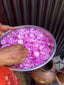 Distillation of Essential Oils - 2026 Workshops
