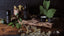Various wooden surfaces and tools, with different sized black bottles and leaves surrounding the area